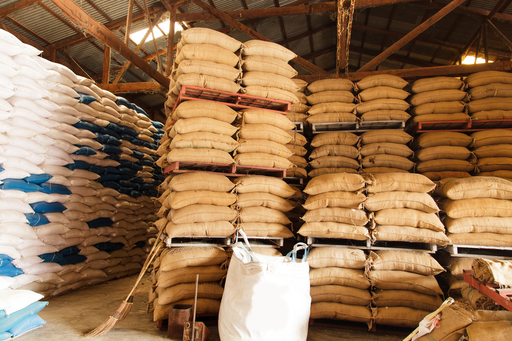 We Bite Right Export Ready